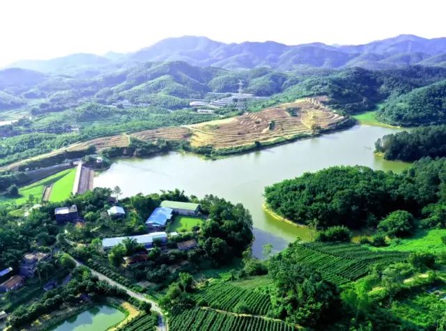 赏风景,住民宿,吃农家菜……这个国庆,在江门这样玩!
