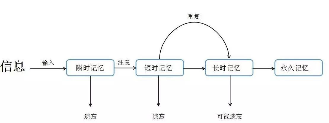 从上图不难看出 健忘的成因在于:瞬时记忆,短时记忆