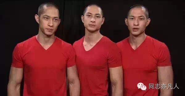 火爆中国gay圈的华裔肌肉三兄弟