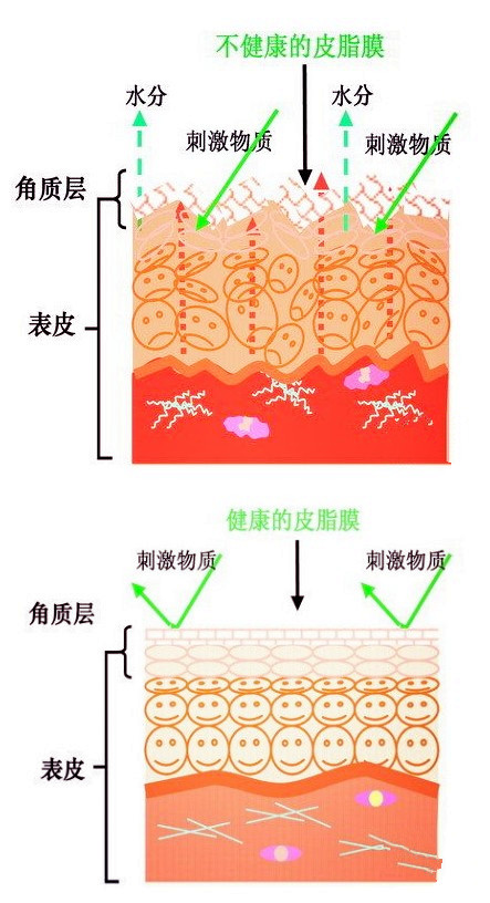卸妆算护肤吗