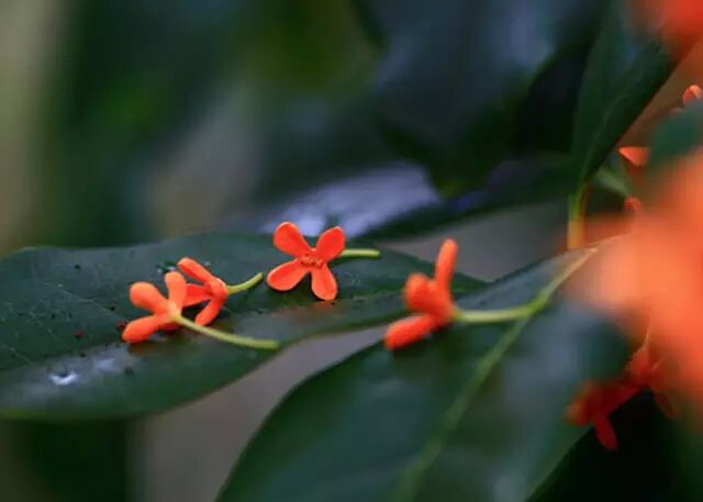 �����ɵ�ð�𣬾�����һ�������ˣ������ͷ�󵽽�