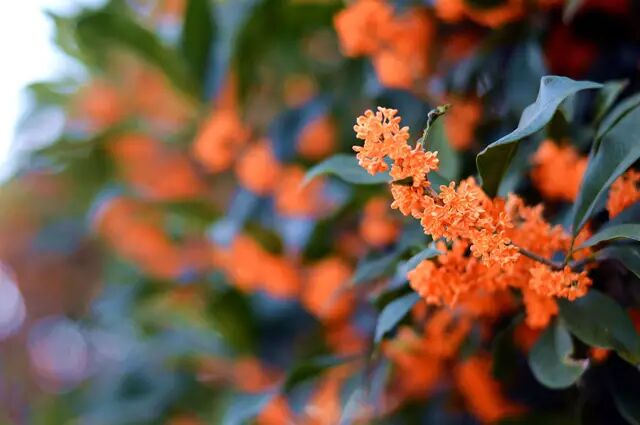 �����ɵ�ð�𣬾�����һ�������ˣ������ͷ�󵽽�