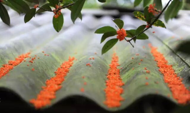 �����ɵ�ð�𣬾�����һ�������ˣ������ͷ�󵽽�