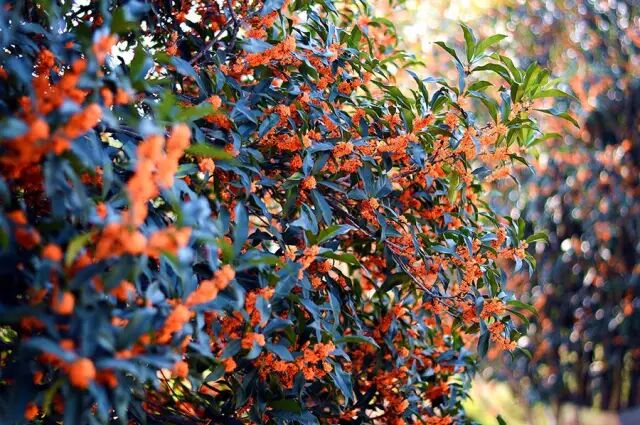 �����ɵ�ð�𣬾�����һ�������ˣ������ͷ�󵽽�