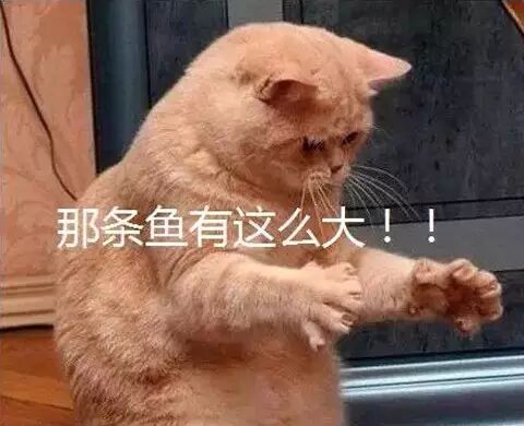 你以为你以为的就是你以为的吗?