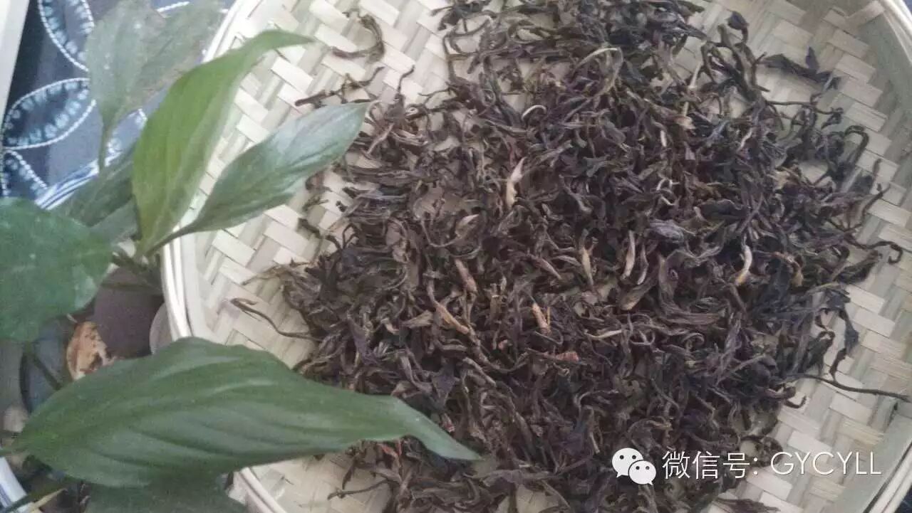 普洱茶中的野生茶|广西优质茶叶交流组
