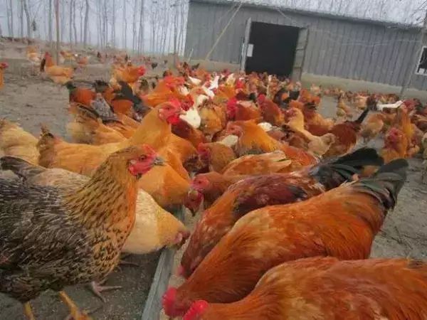 是等生病住院 还是喝好水养生？观念该改改了