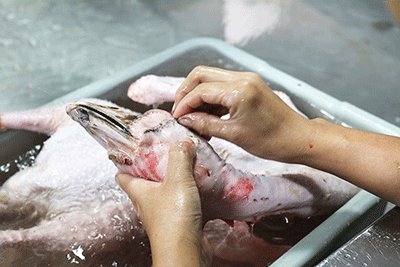 原生态放养,让鹅自由生长 不喂饲料,只食青米 养到最佳月份才杀鹅卤