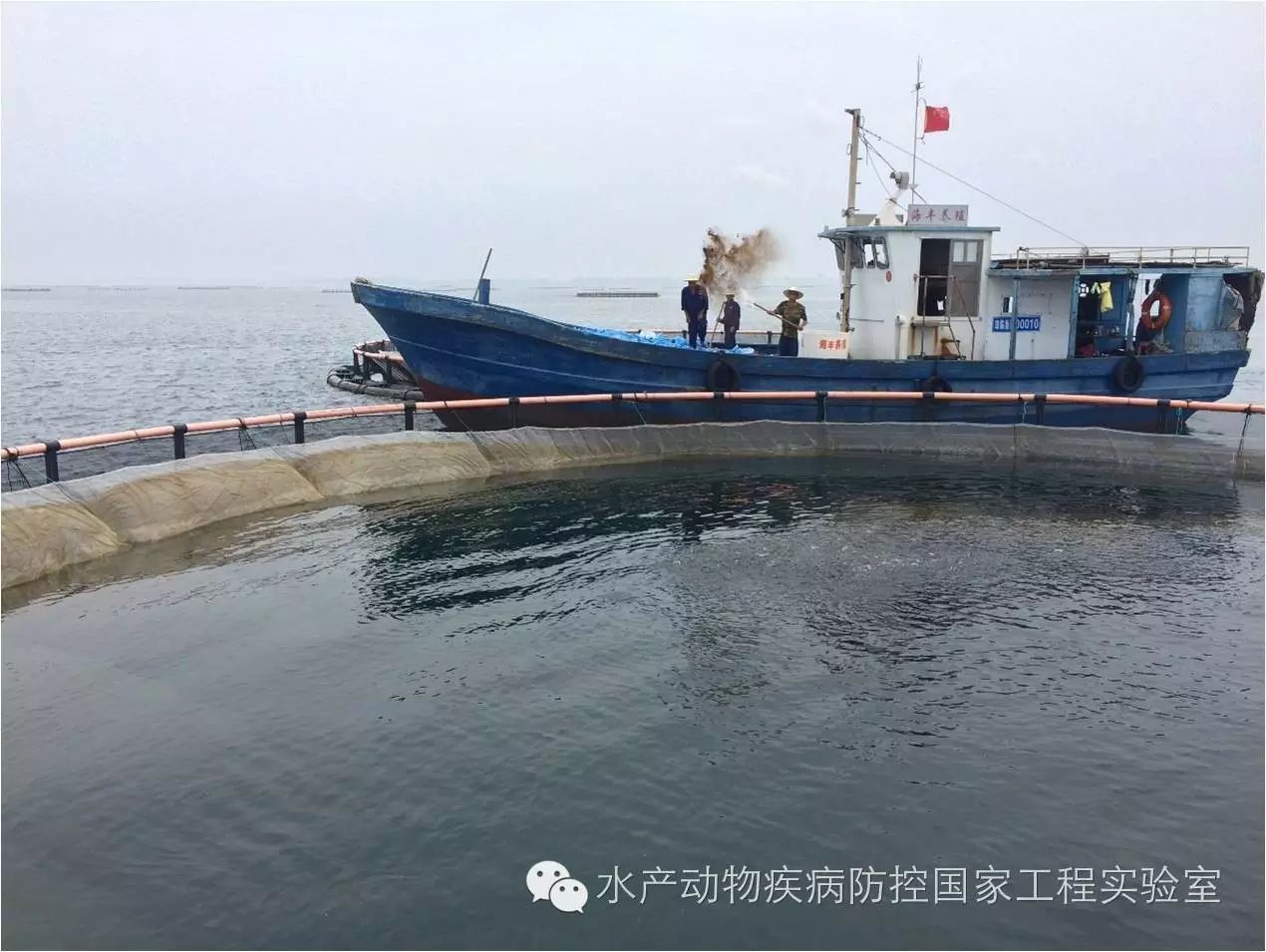 小二型水库可以网箱养殖 小二型水库可以网箱养殖吗