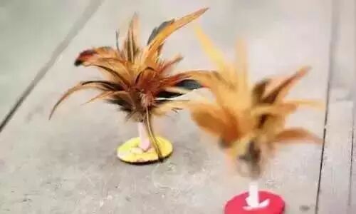 儿时暑假的打开方式