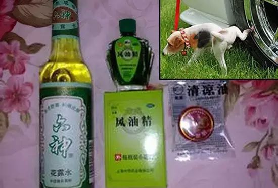 狗尿會腐化輪胎，甚至會引起爆胎？真相是… 寵物 第11張