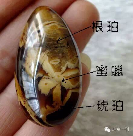 珍贵的缅甸根珀知识详解