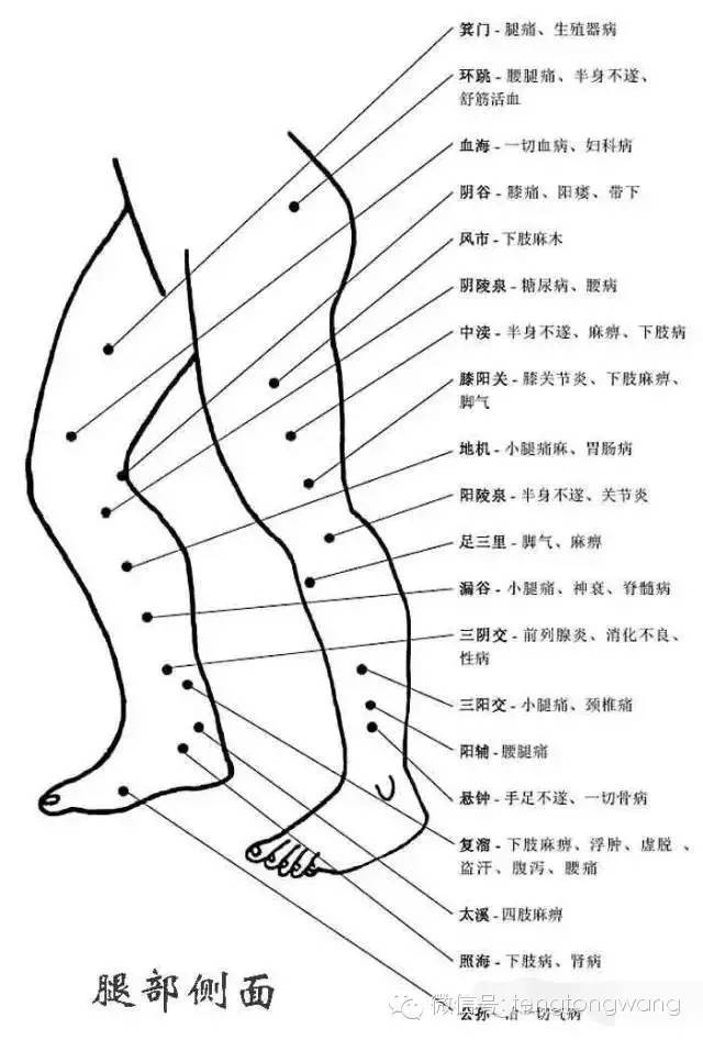 [转载]完整的人体穴位图及功效