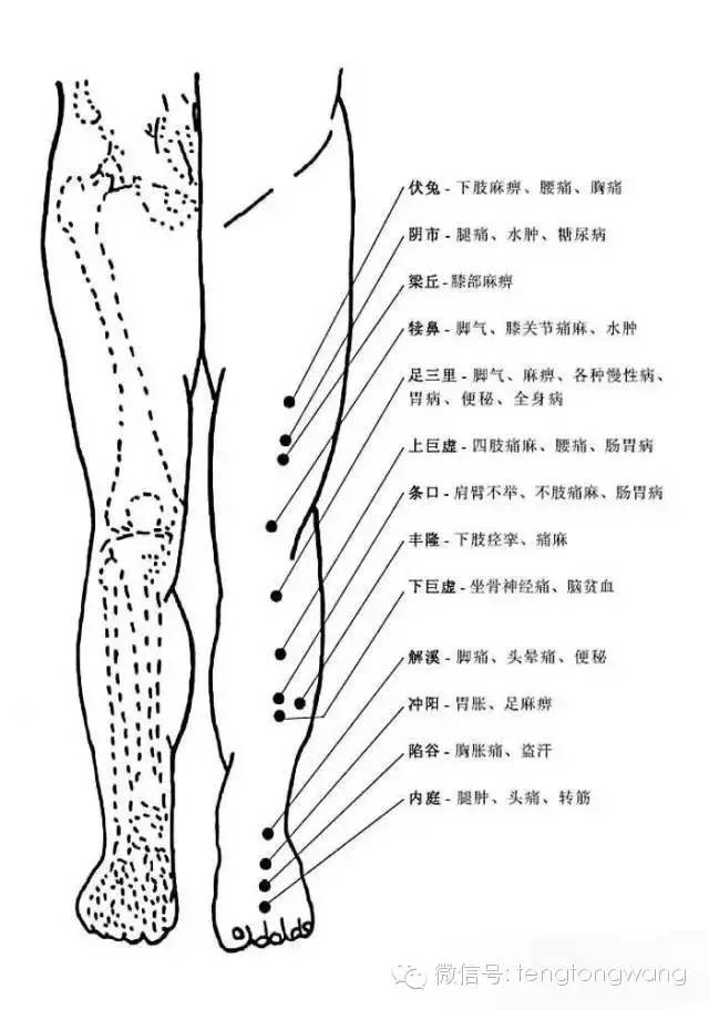 [转载]完整的人体穴位图及功效