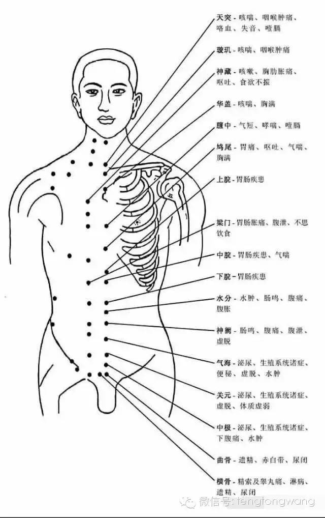 [轉載]完整的人體穴位圖及功效