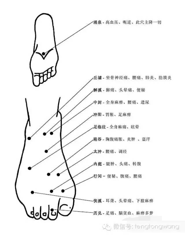 [转载]完整的人体穴位图及功效