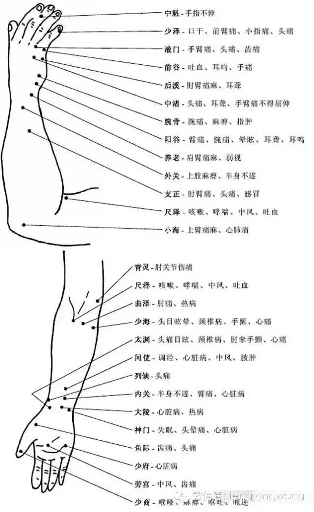 [转载]完整的人体穴位图及功效