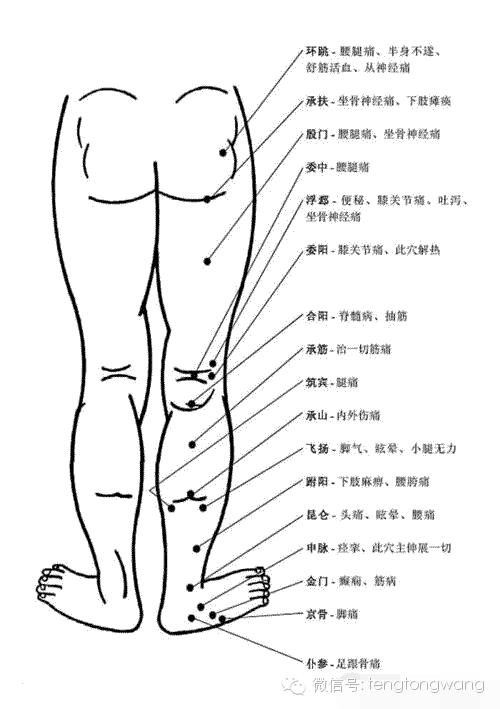 [轉載]完整的人體穴位圖及功效