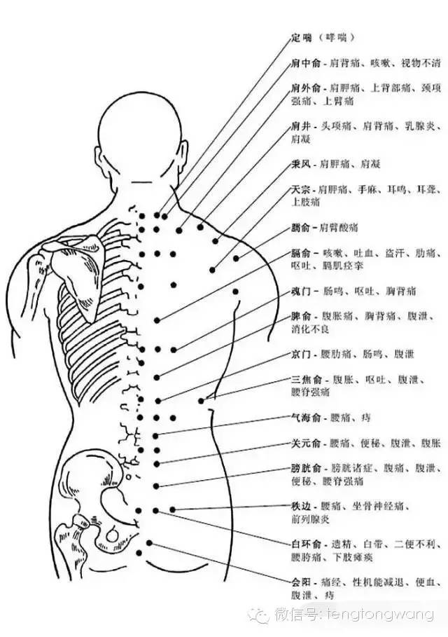 [轉載]完整的人體穴位圖及功效