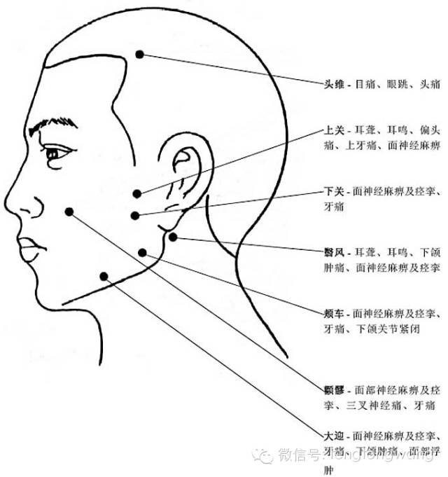 [转载]完整的人体穴位图及功效