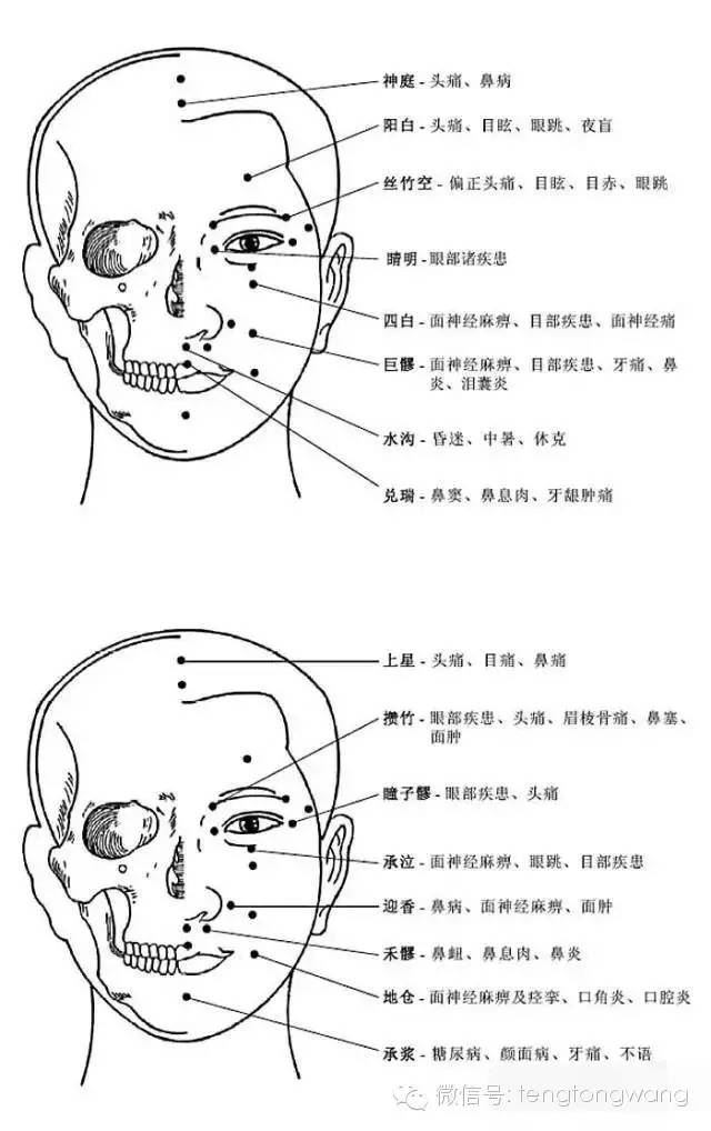 [转载]完整的人体穴位图及功效