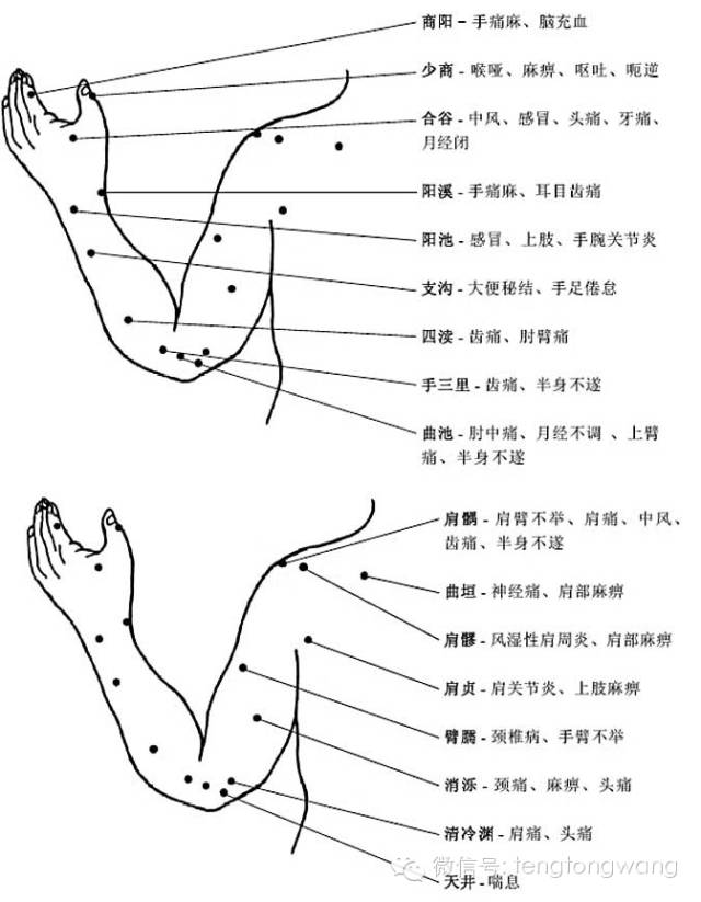 [转载]完整的人体穴位图及功效