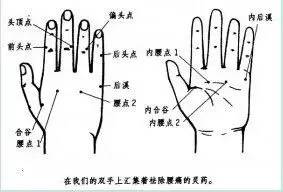 郭力話健康：治腰痛，只需一分鐘！ 健康 第5張