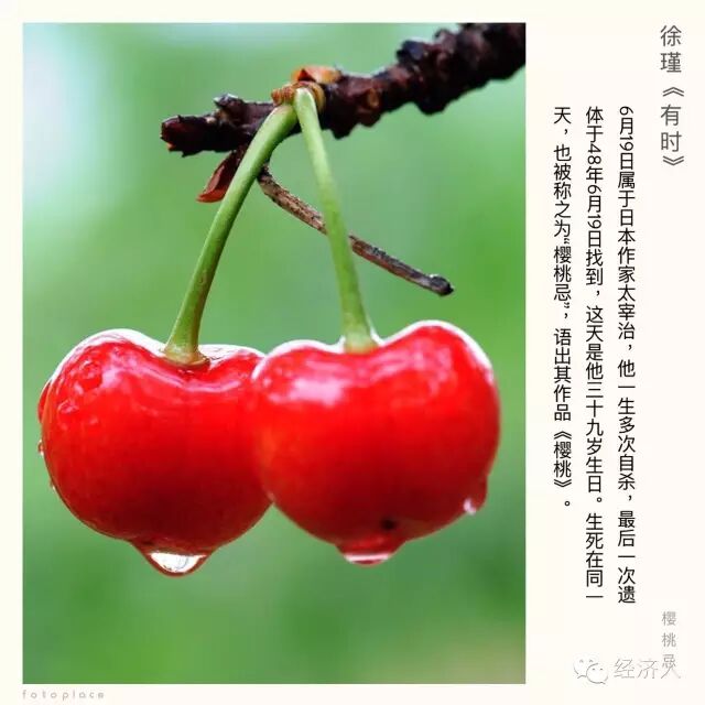 人间失格 日本文豪太宰治的樱桃祭 经济人读书会 微信公众号文章阅读 Wemp