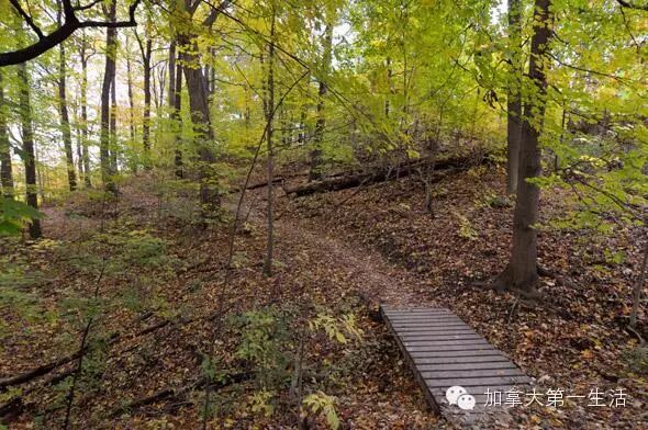 不冷不热的天最适合出门玩 多伦多十大Hiking路线推荐