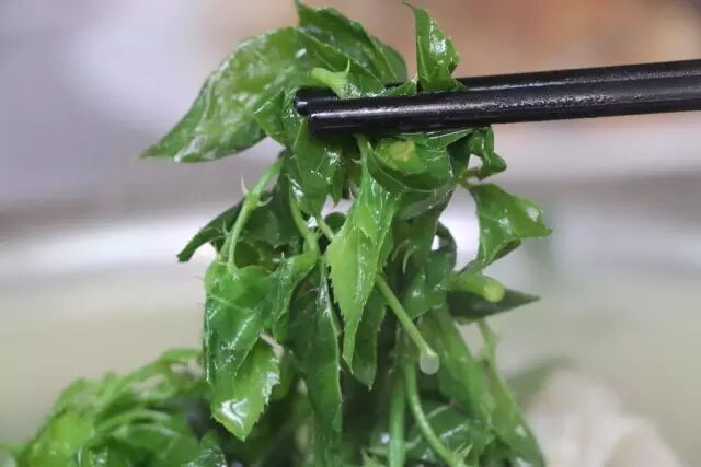 恩平特有的簕菜茶,不但润喉特佳,滋味甘醇,还有清热解毒,清肝明目