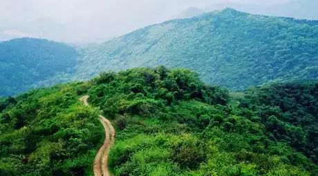 實至名歸老山十里畫廊旅遊風景道入選首批江蘇省旅遊風景道你的下一次