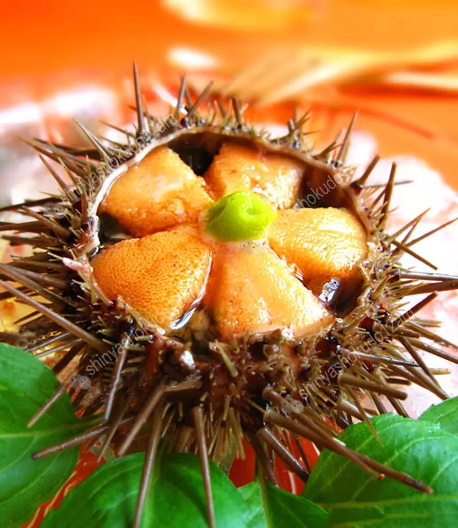 99%的人都吃错了!来看刺身的正确吃法和品类介绍