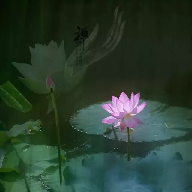 &ldquo;明心見性絕不等於成佛 --釋夢參長老&rdquo;的图片搜索结果