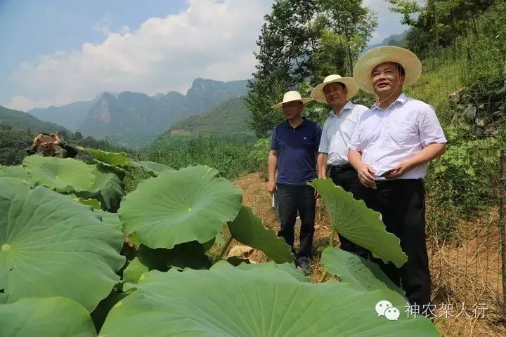 湖北省委省政府派駐神農架林區抗災救災工作組工作紀實