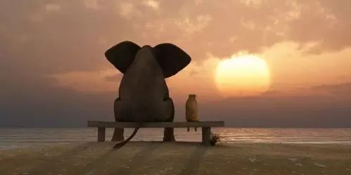 640?wx_fmt=jpeg&tp=webp&wxfrom=5&wx_lazy=1&wx_co=1