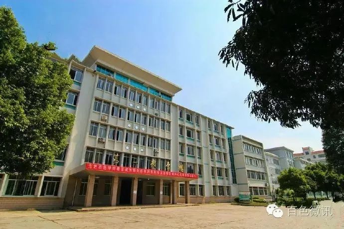 百色学院杨大屯东合图片