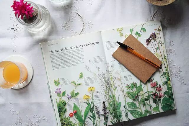 花草原来还可以这么玩！