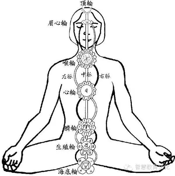 岐伯有道 自由微信 Freewechat
