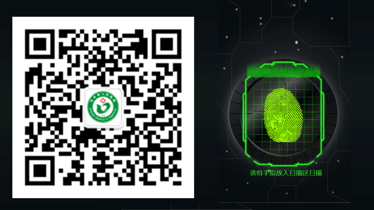 奥林巴斯胃肠镜怎么做先进设备｜奥林巴斯290电子胃肠镜-您的消化道“保护神”_https://www.jmylbn.com_新闻资讯_第10张