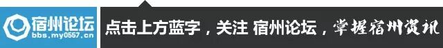 宿州市人事考试网 宿州：2018市直事业单位计划招52人