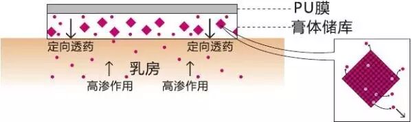 乳腺宁贴片效果怎么样【乳腺宁贴片】乳腺炎、乳腺增生治疗的新选择_https://www.jmylbn.com_新闻资讯_第1张