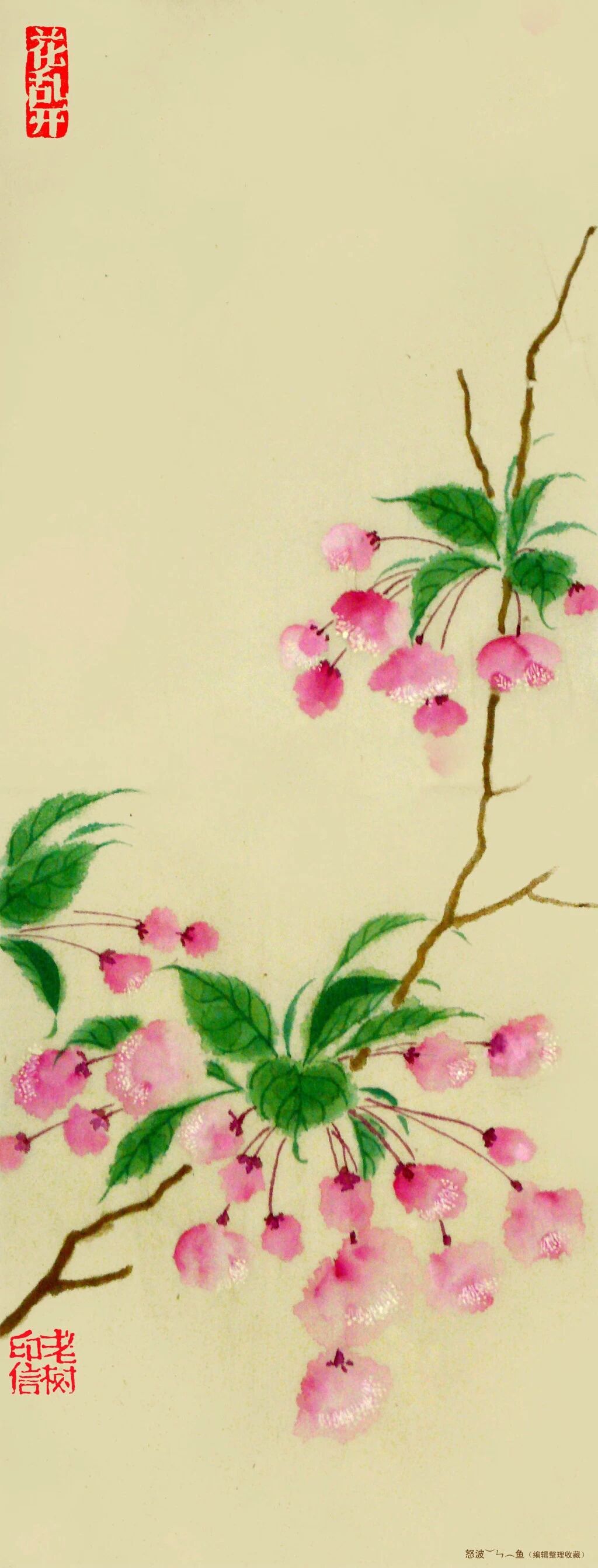 刘树勇老树绘画作品