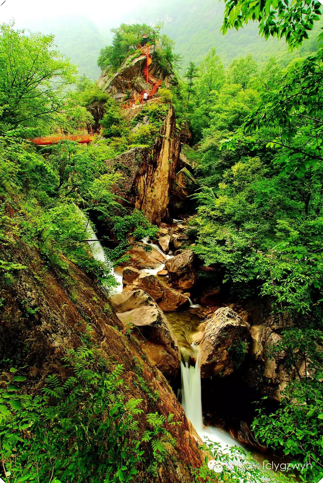 漫游栾川:庙子镇,感受林荫小道带来的惬意_旅游景点_栾川在线