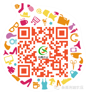 淘宝二维码