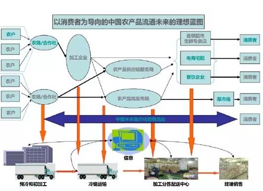 資料網 公眾號文章 >> 正文 c 連鎖自營冷鏈物流企業通過小批量,多