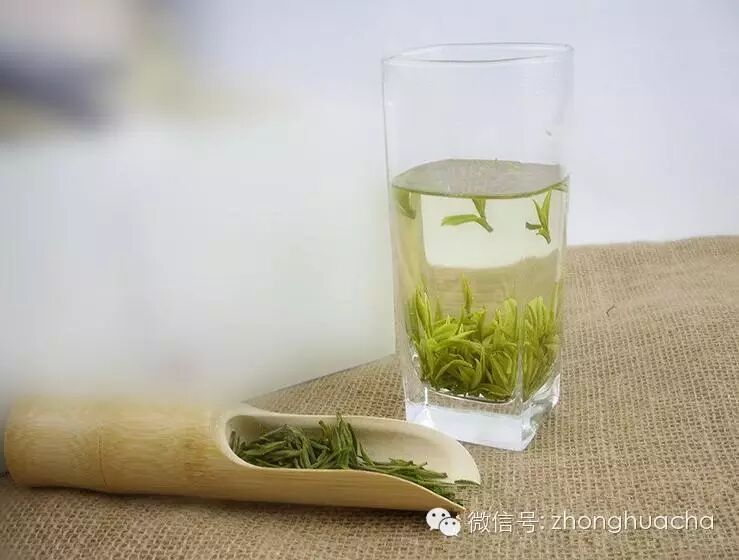 十二道大法泡绿茶,味道绝了!