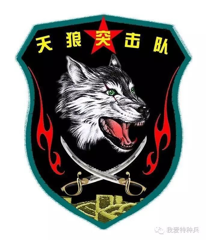 与狼共舞军旅无悔