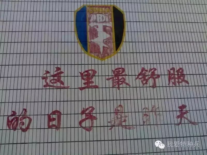 与狼共舞军旅无悔