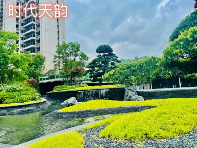 黄埔科学城怎么选房？深入解析科学城四盘优劣势