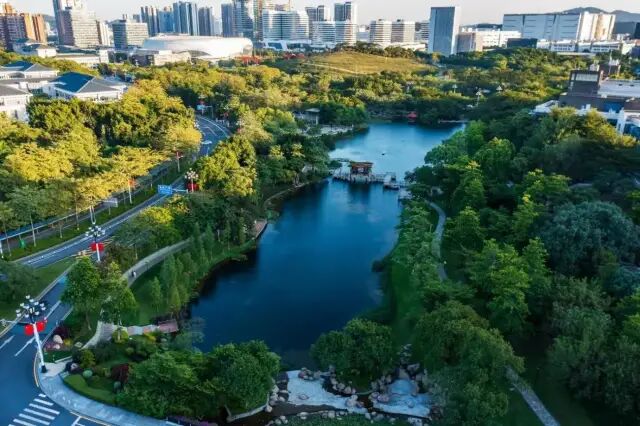 黄埔科学城怎么选房？深入解析科学城四盘优劣势